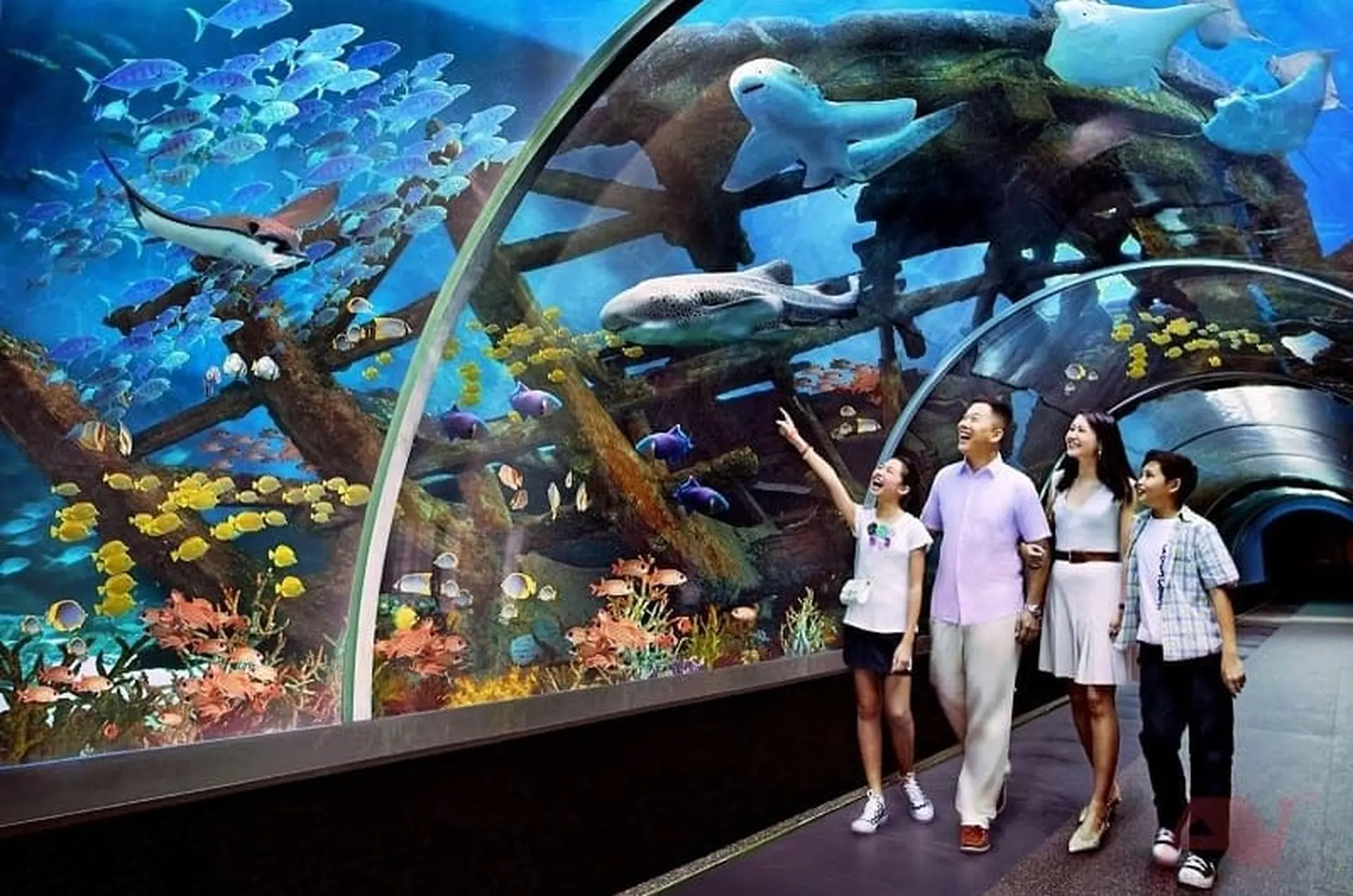 Thủy Cung VinWonders Nha Trang