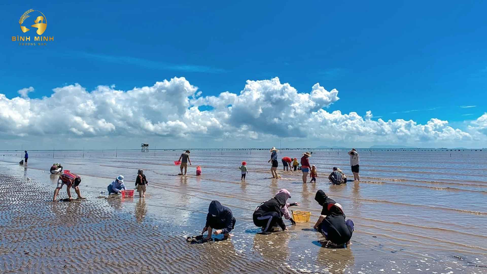 Cào nghêu tại biển Tân Thành